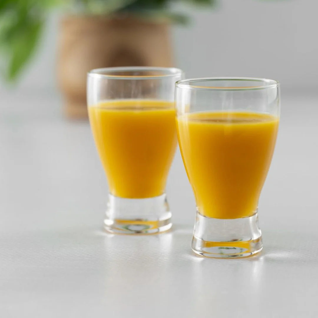Gut & Digestion Wellness Shots